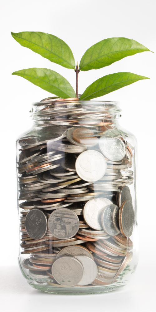 Argent avec une plante qui pousse signifiant l'augmentation de votre budget grâce à la gestion du budget